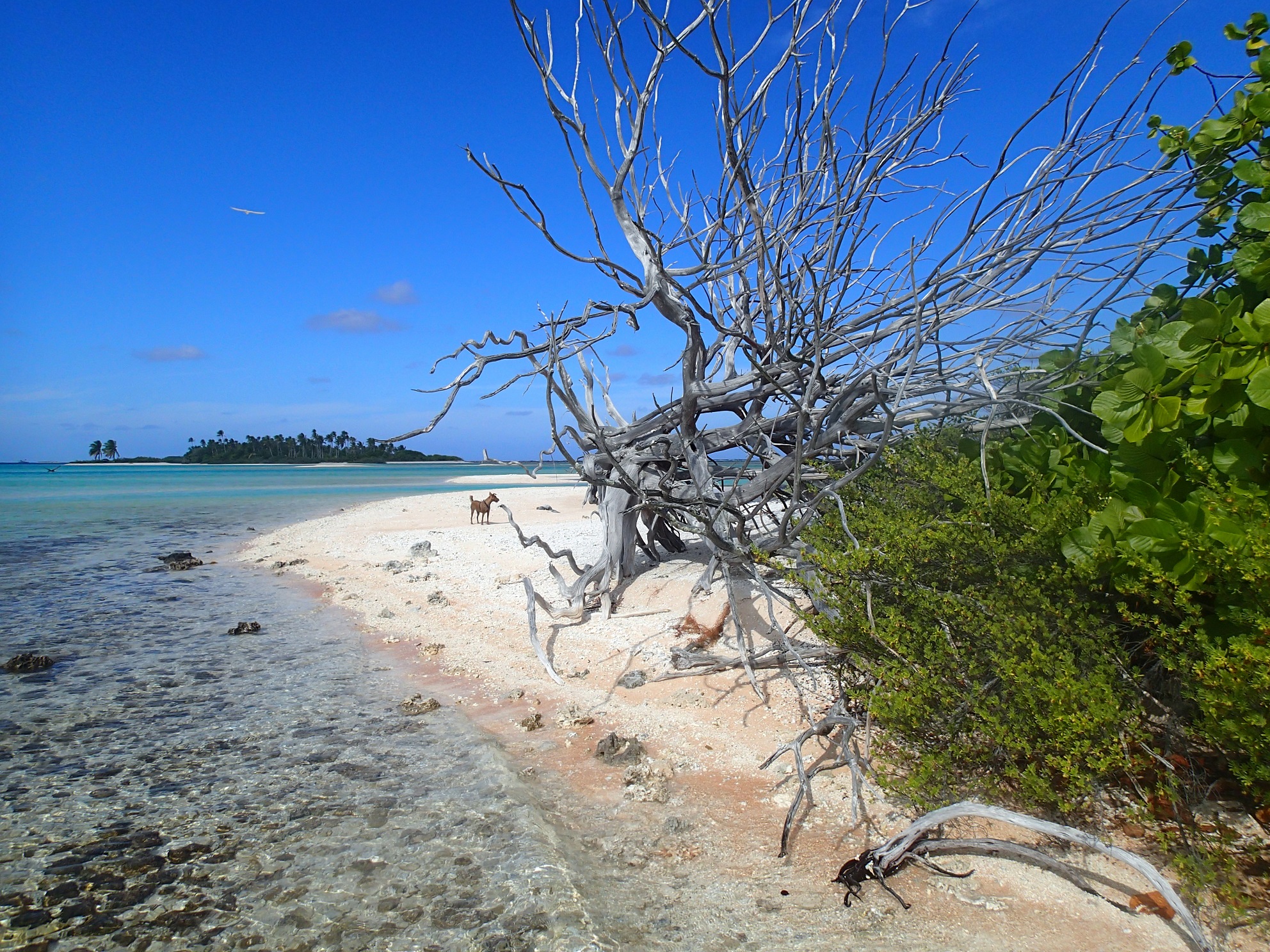 Raroia, Tuamotus Archepelago, French Polynesia – Our first South ...