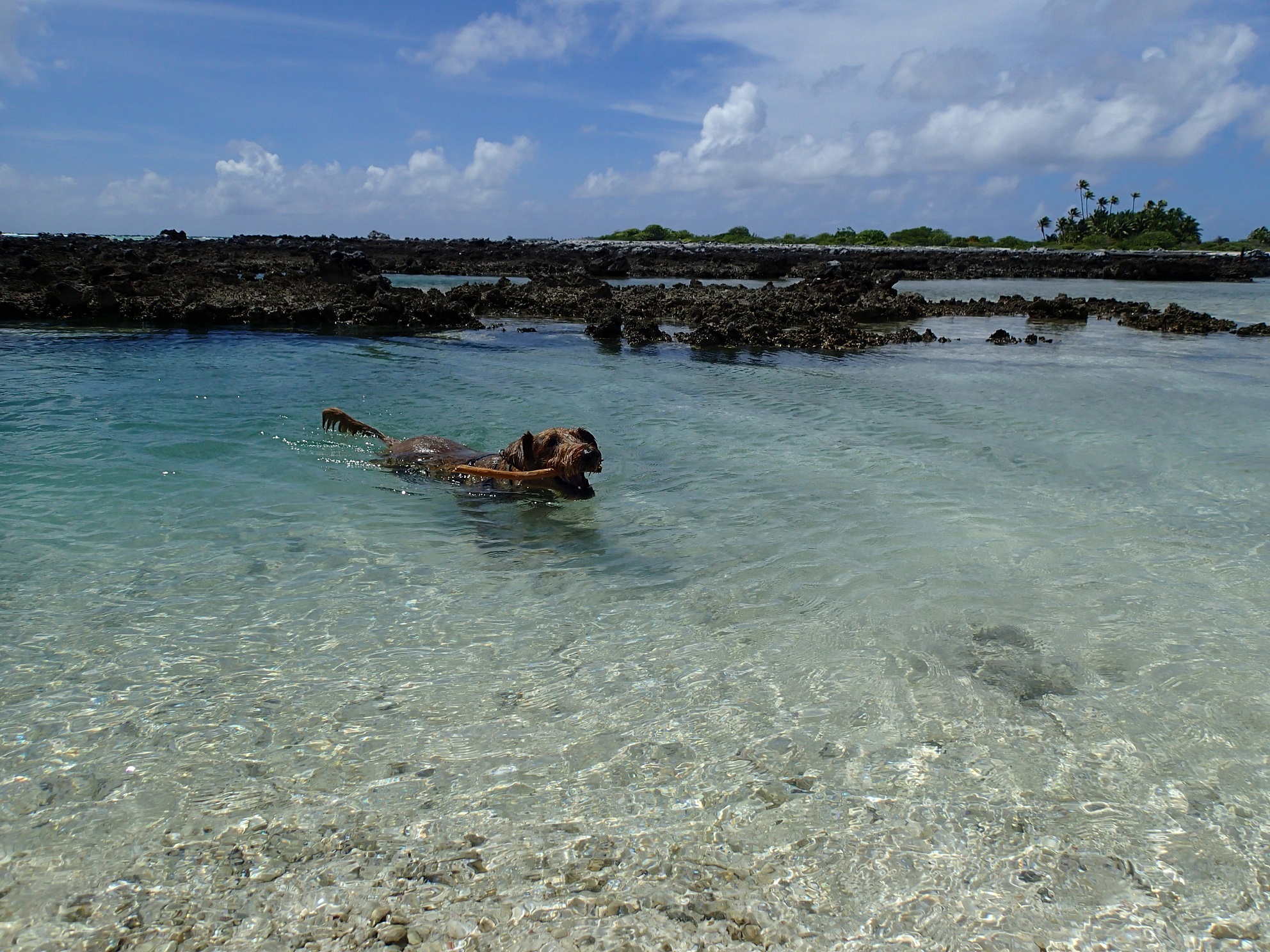 Tahanea Atoll, Tuamotu Archipeligo, French Polynesia – Pictures and ...